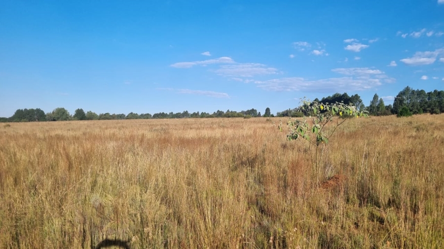 0 Bedroom Property for Sale in Alewynspoort Gauteng