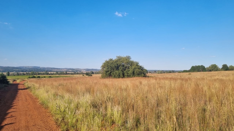 0 Bedroom Property for Sale in Alewynspoort Gauteng