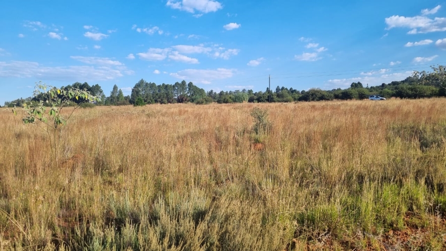 0 Bedroom Property for Sale in Alewynspoort Gauteng