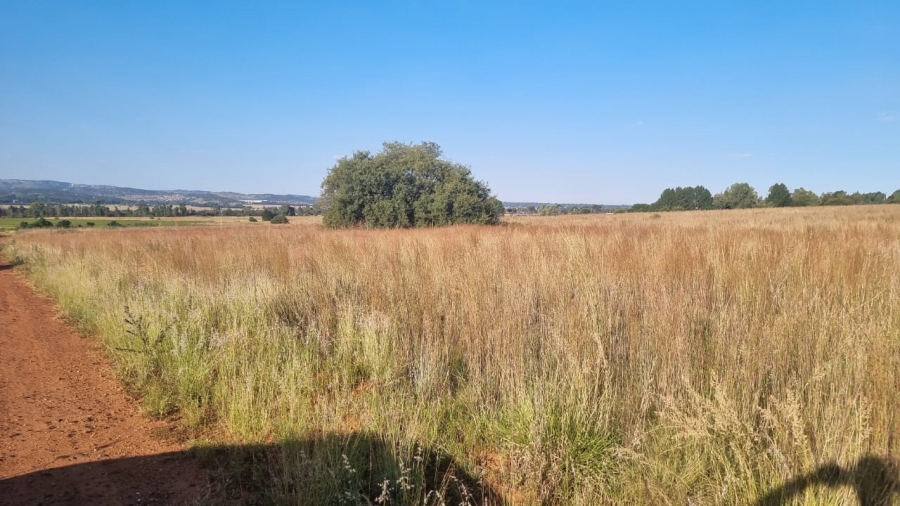 0 Bedroom Property for Sale in Alewynspoort Gauteng