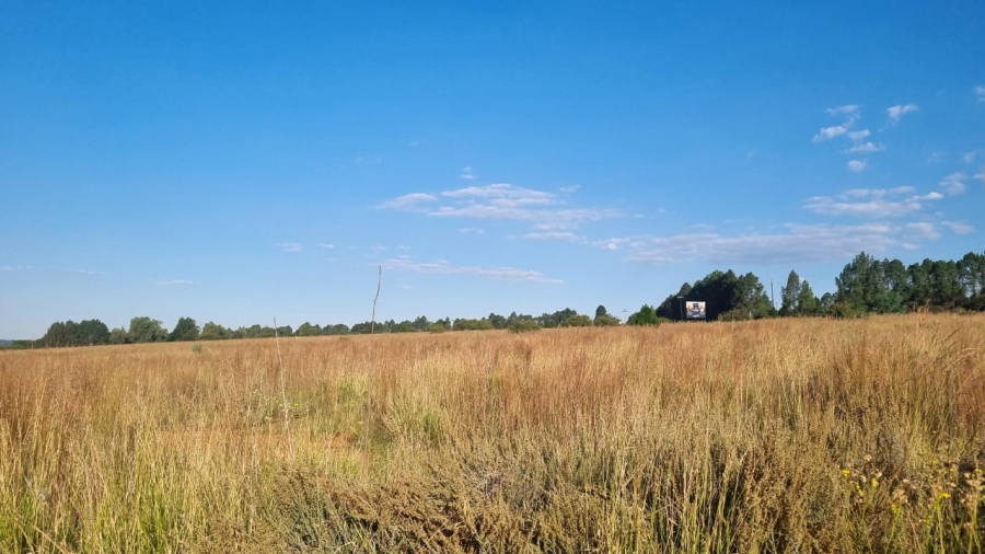 0 Bedroom Property for Sale in Alewynspoort Gauteng