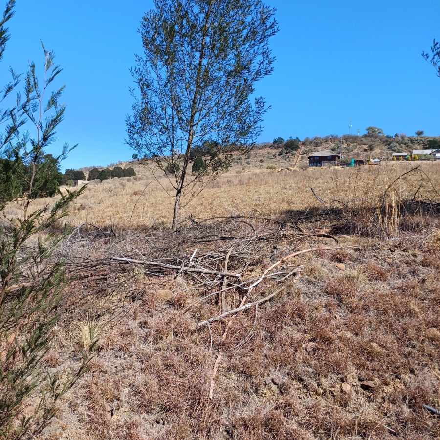 0 Bedroom Property for Sale in Blue Saddle Ranches Gauteng