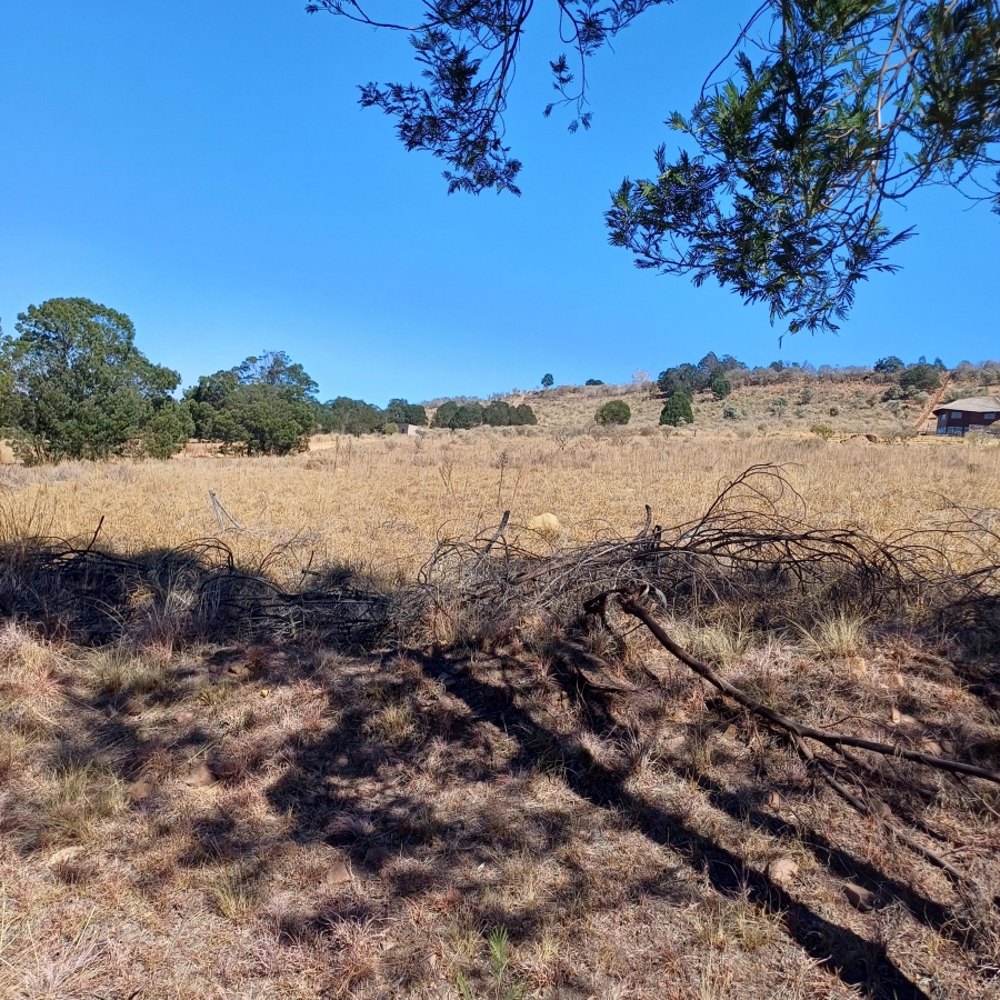 0 Bedroom Property for Sale in Blue Saddle Ranches Gauteng