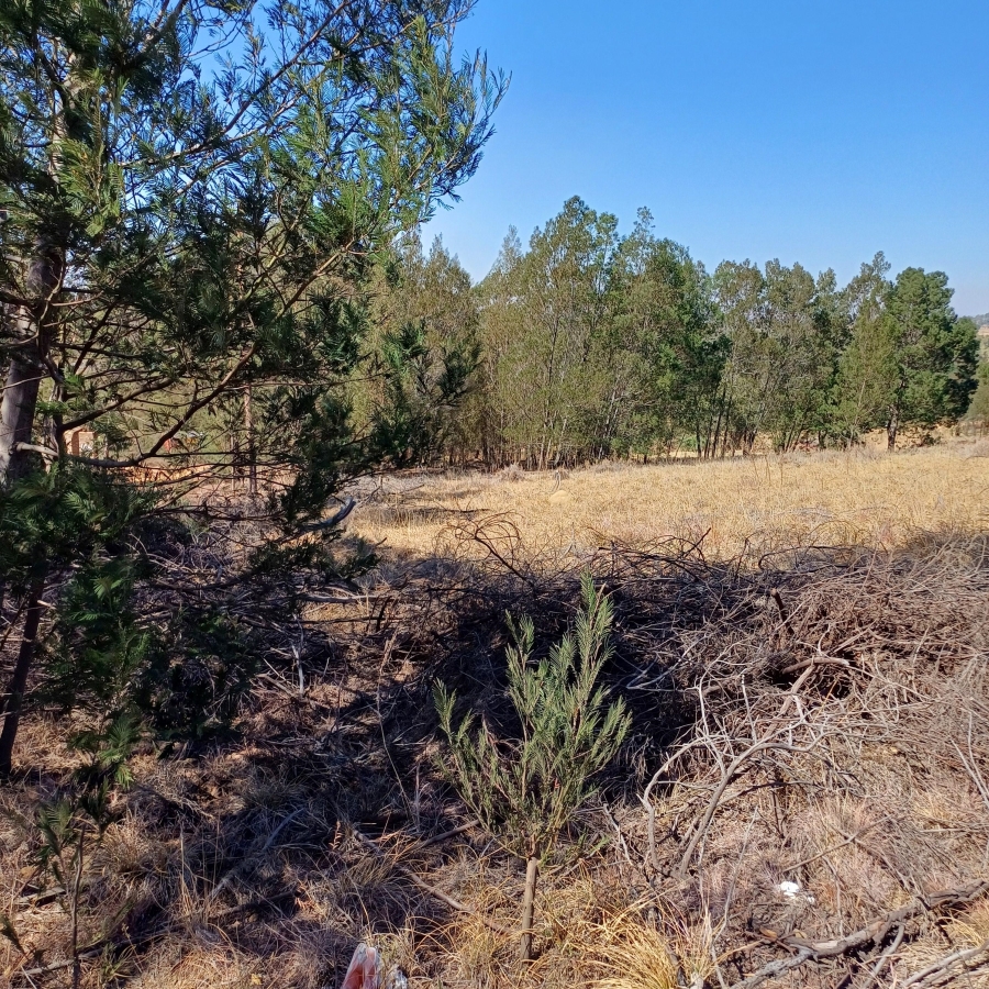 0 Bedroom Property for Sale in Blue Saddle Ranches Gauteng