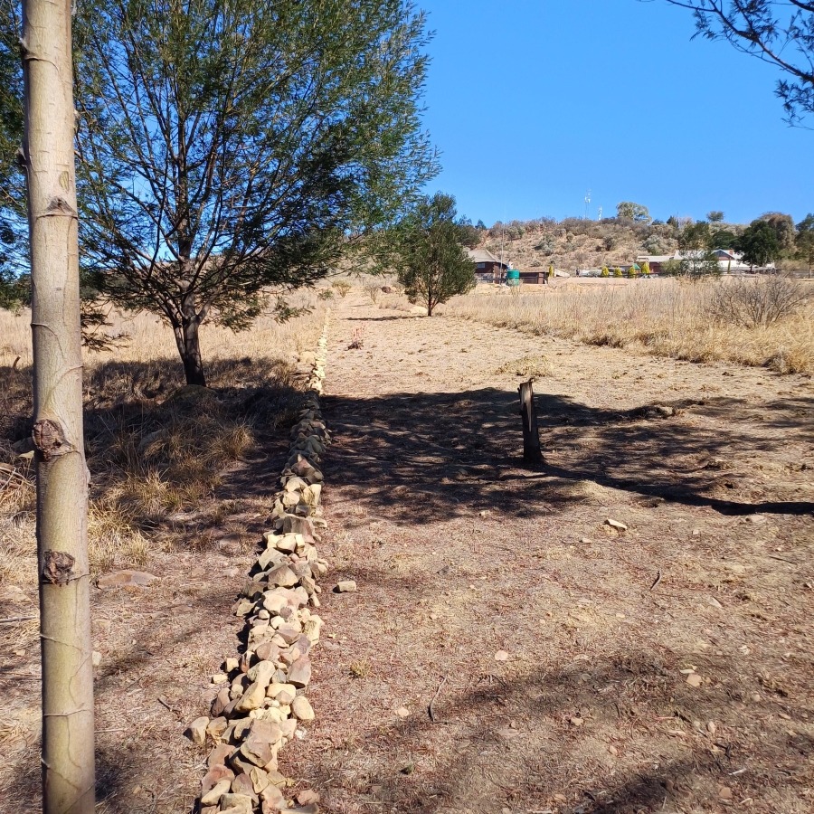 0 Bedroom Property for Sale in Blue Saddle Ranches Gauteng