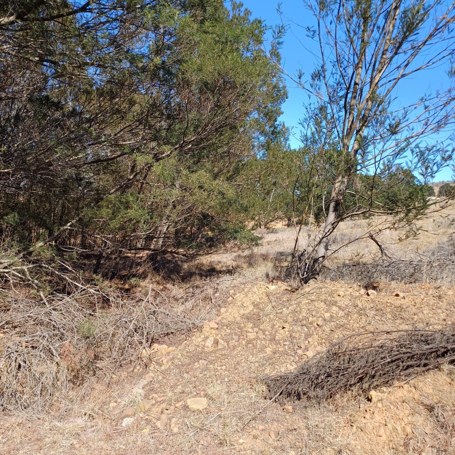 0 Bedroom Property for Sale in Blue Saddle Ranches Gauteng