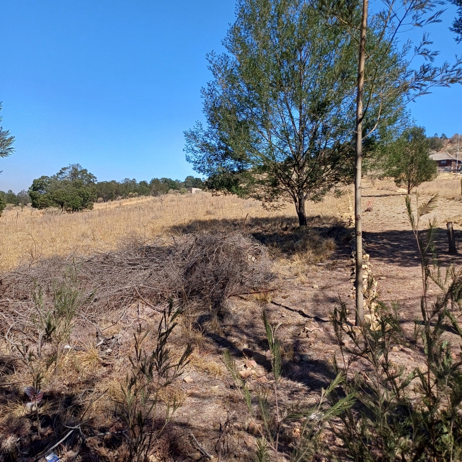 0 Bedroom Property for Sale in Blue Saddle Ranches Gauteng