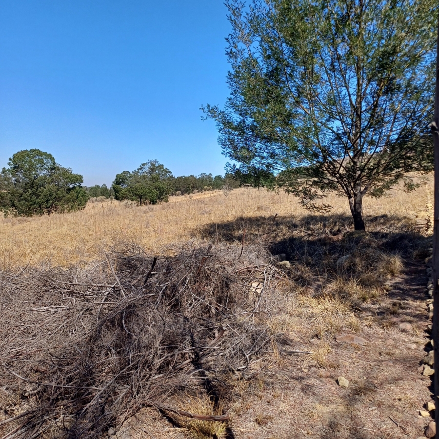 0 Bedroom Property for Sale in Blue Saddle Ranches Gauteng