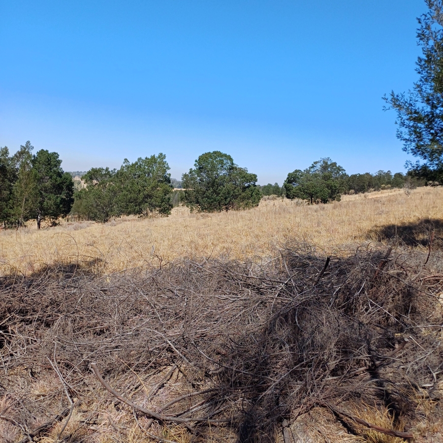 0 Bedroom Property for Sale in Blue Saddle Ranches Gauteng