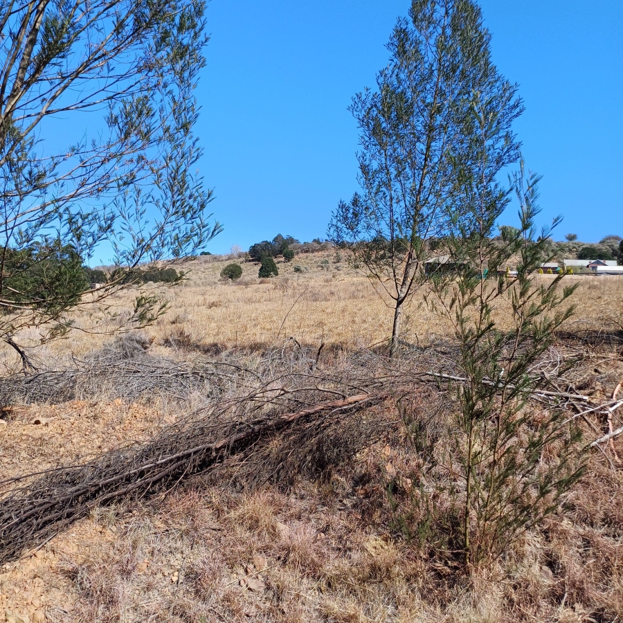 0 Bedroom Property for Sale in Blue Saddle Ranches Gauteng