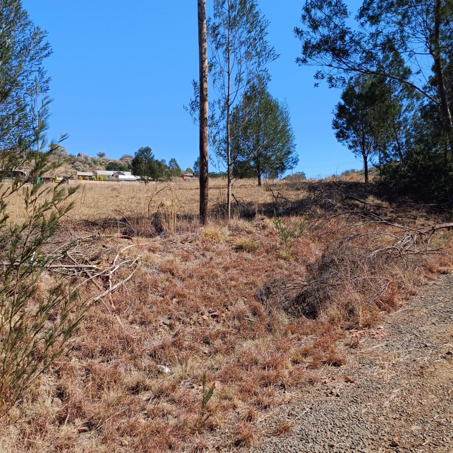 0 Bedroom Property for Sale in Blue Saddle Ranches Gauteng