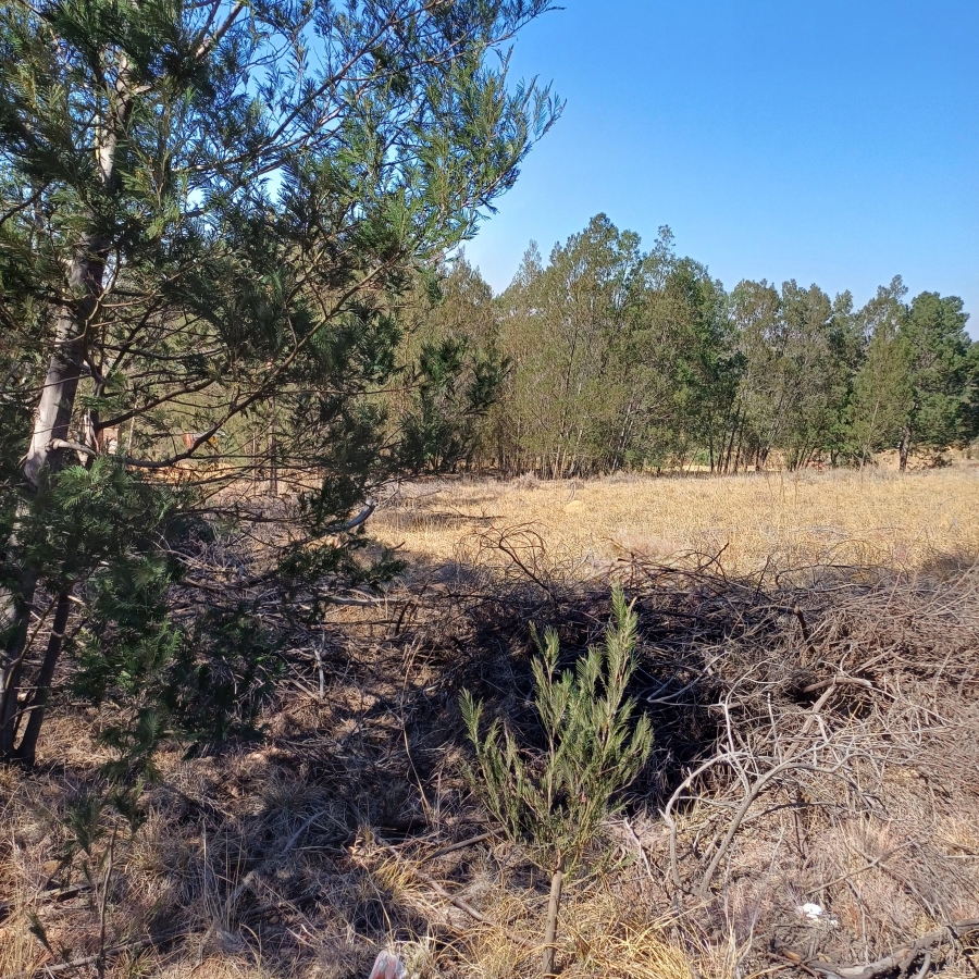 0 Bedroom Property for Sale in Blue Saddle Ranches Gauteng