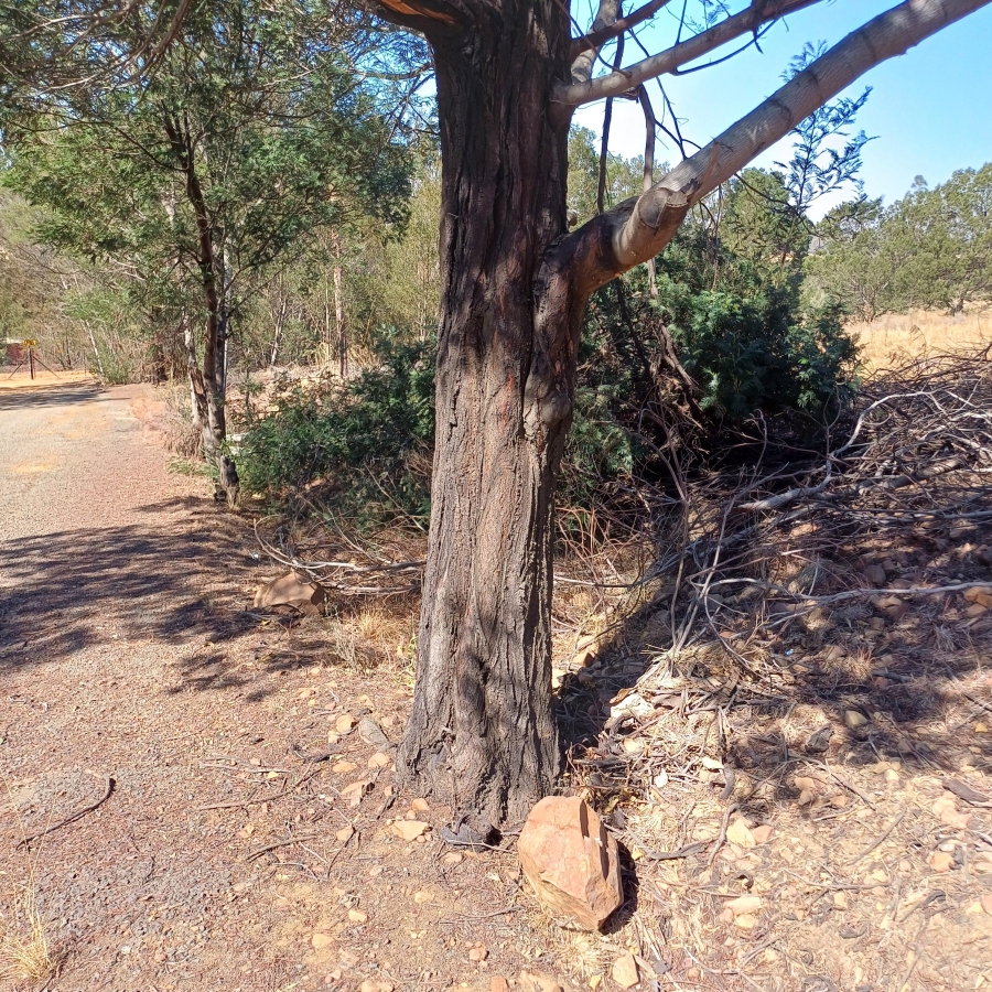 0 Bedroom Property for Sale in Blue Saddle Ranches Gauteng