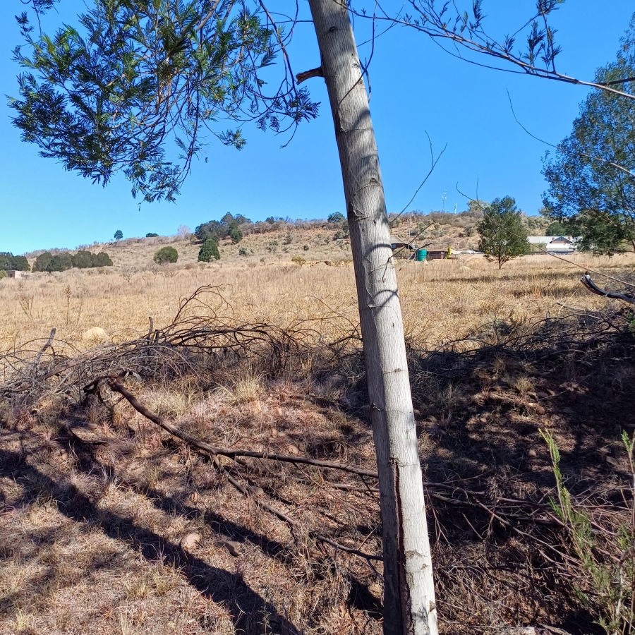 0 Bedroom Property for Sale in Blue Saddle Ranches Gauteng