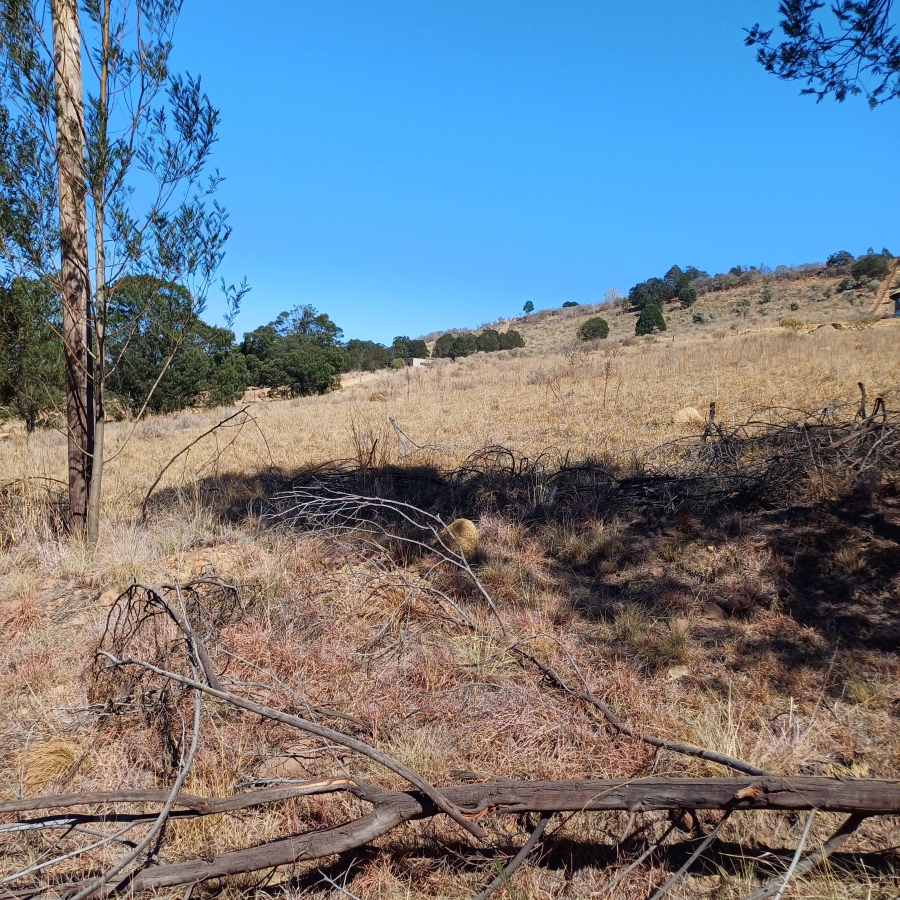 0 Bedroom Property for Sale in Blue Saddle Ranches Gauteng