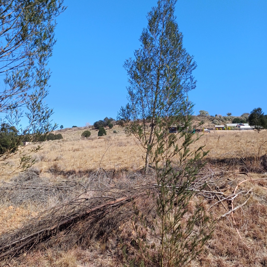 0 Bedroom Property for Sale in Blue Saddle Ranches Gauteng