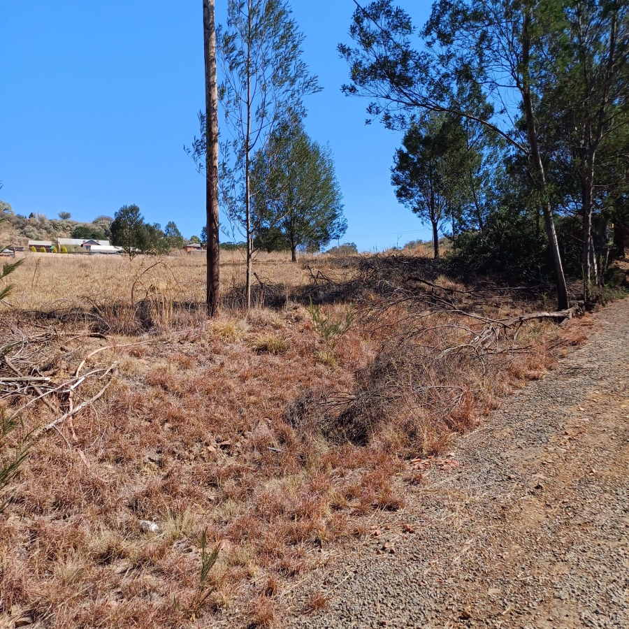 0 Bedroom Property for Sale in Blue Saddle Ranches Gauteng