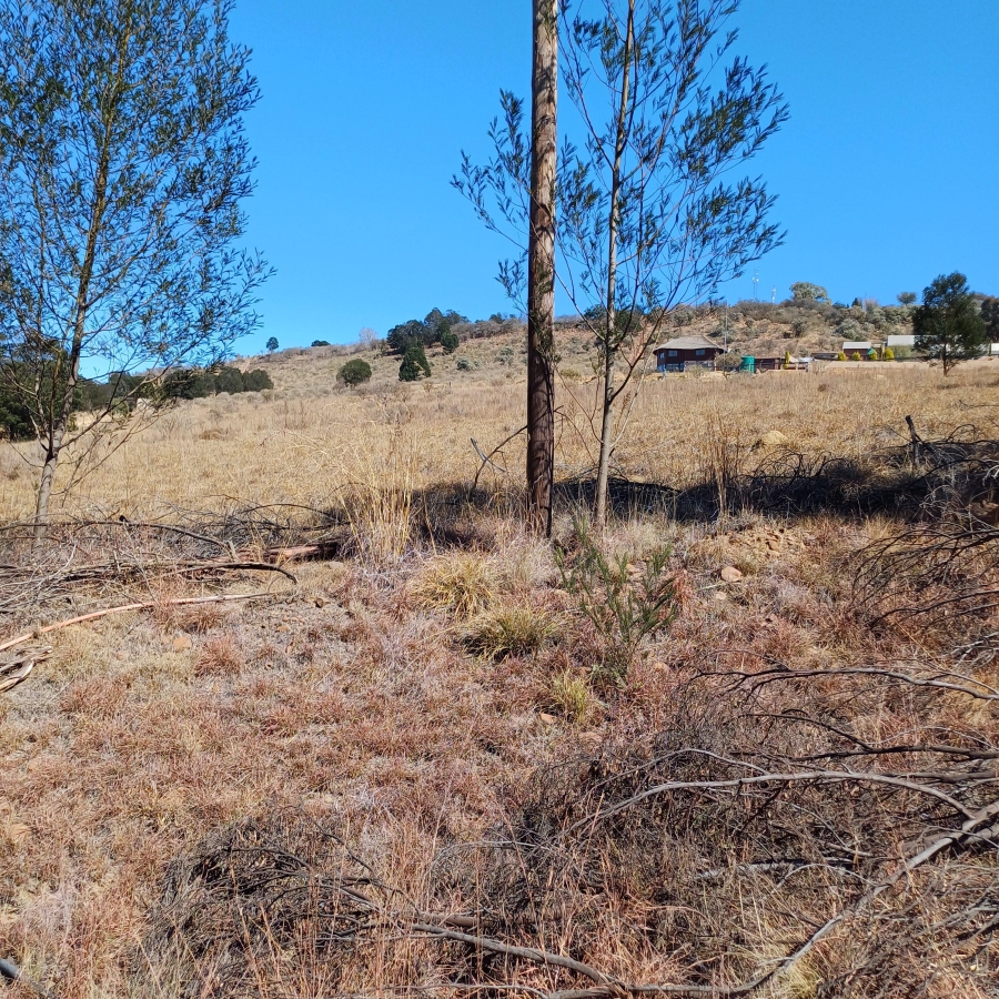 0 Bedroom Property for Sale in Blue Saddle Ranches Gauteng