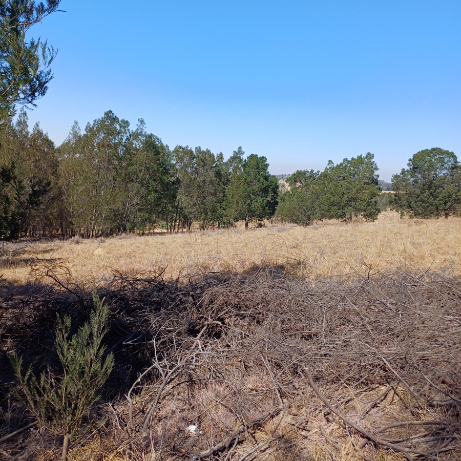 0 Bedroom Property for Sale in Blue Saddle Ranches Gauteng