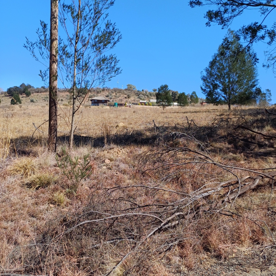 0 Bedroom Property for Sale in Blue Saddle Ranches Gauteng