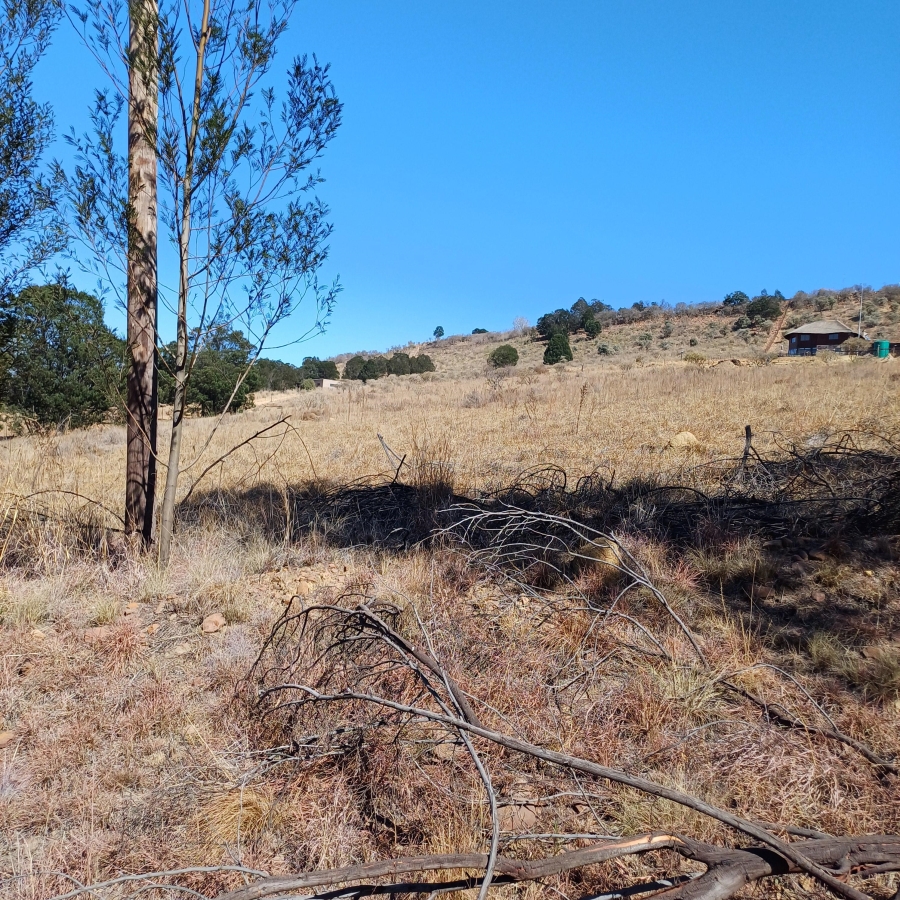 0 Bedroom Property for Sale in Blue Saddle Ranches Gauteng