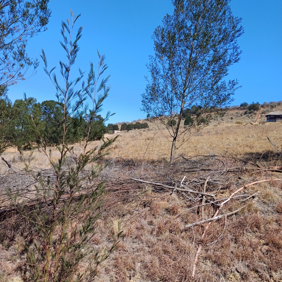 0 Bedroom Property for Sale in Blue Saddle Ranches Gauteng