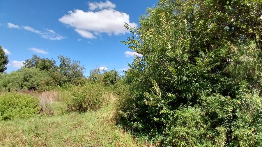 0 Bedroom Property for Sale in Waldrift Gauteng