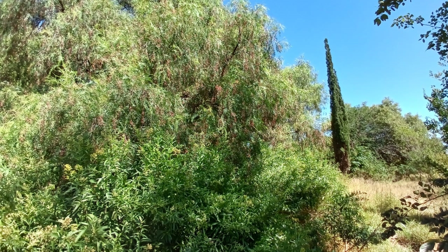 0 Bedroom Property for Sale in Waldrift Gauteng