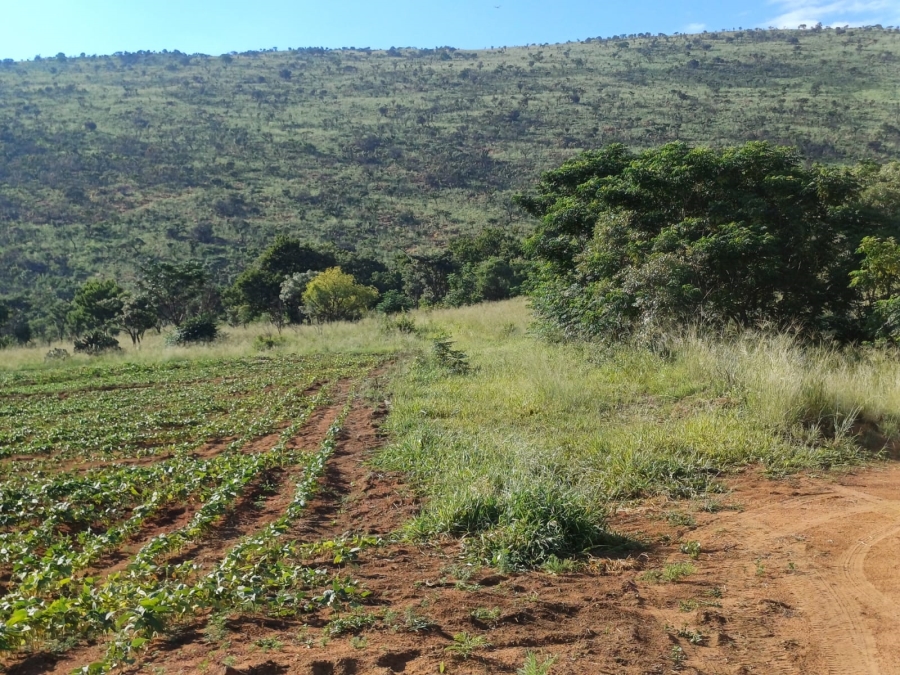 0 Bedroom Property for Sale in Hekpoort Gauteng