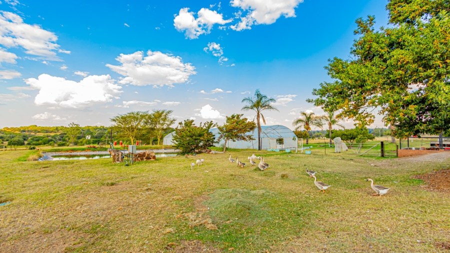 12 Bedroom Property for Sale in Mnandi Gauteng