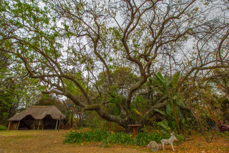 4 Bedroom Property for Sale in Monavoni A H Gauteng