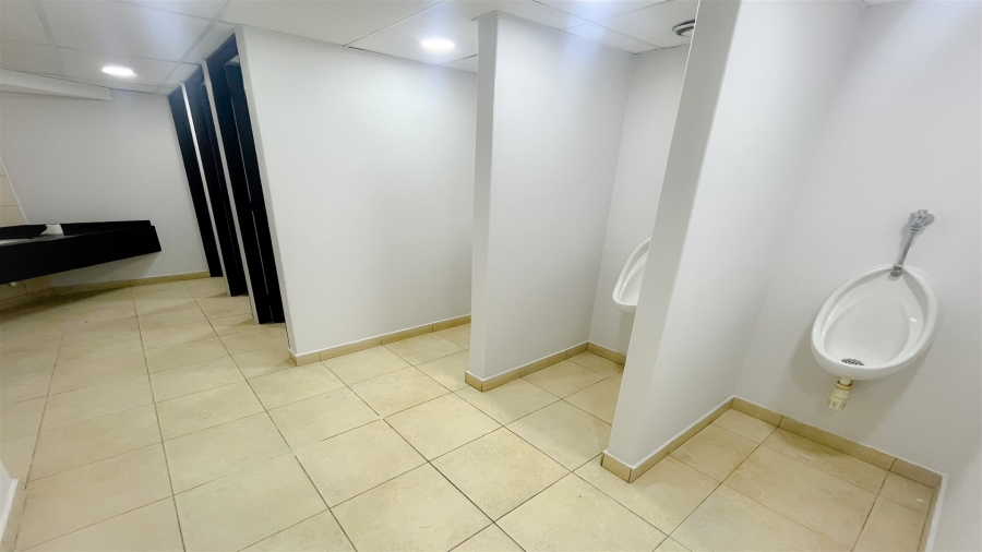 To Let commercial Property for Rent in Parktown Gauteng