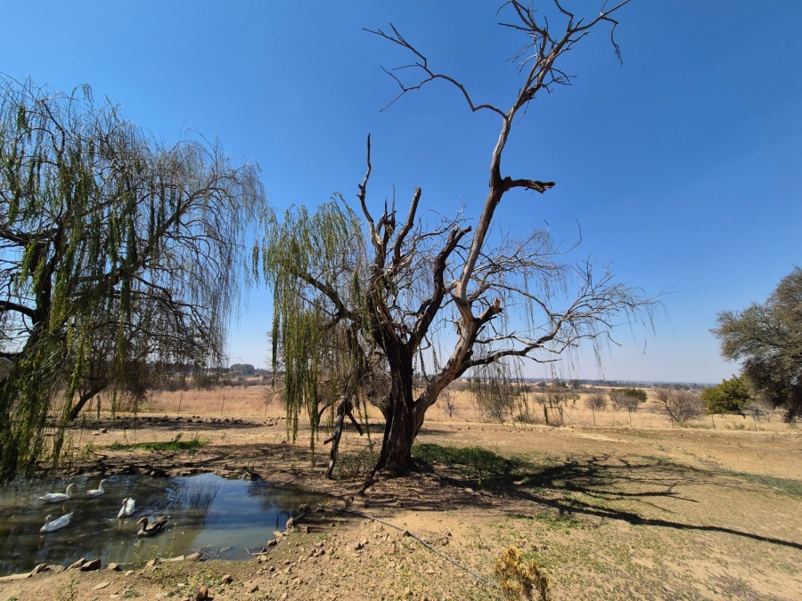 4 Bedroom Property for Sale in Houtkop A H Gauteng