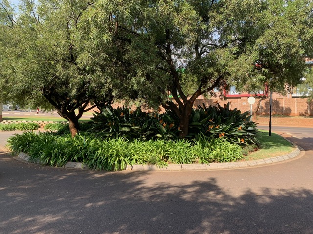2 Bedroom Property for Sale in Pretorius Park Gauteng
