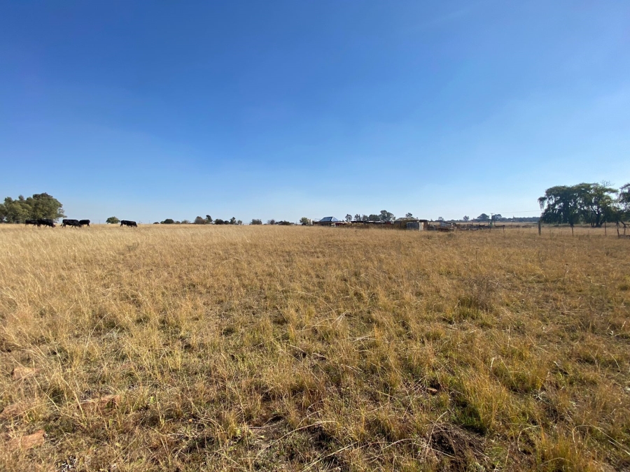 0 Bedroom Property for Sale in Sherman Park Gauteng