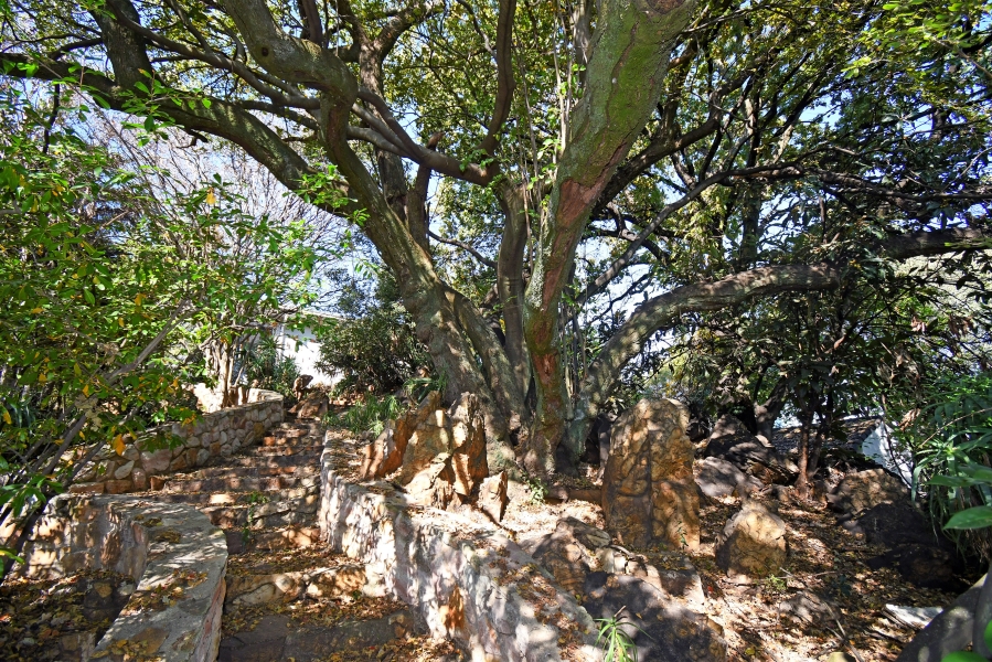 4 Bedroom Property for Sale in Westcliff Gauteng