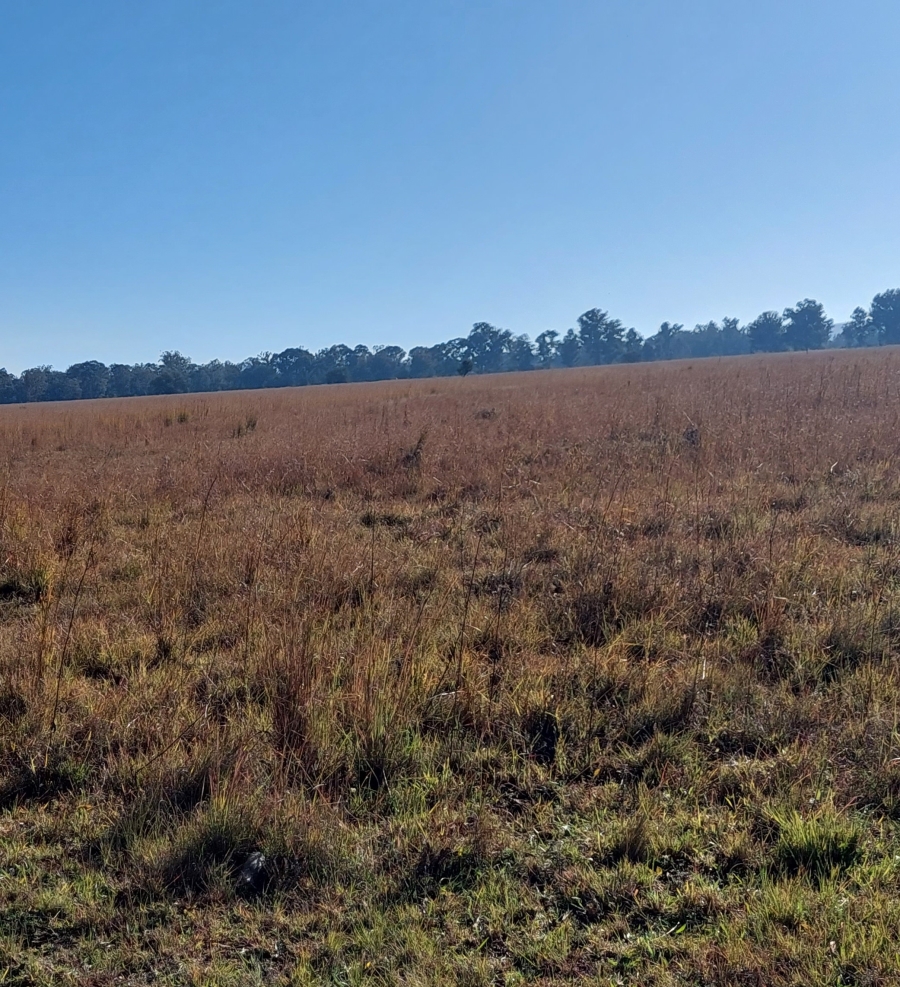 0 Bedroom Property for Sale in De Deur Gauteng