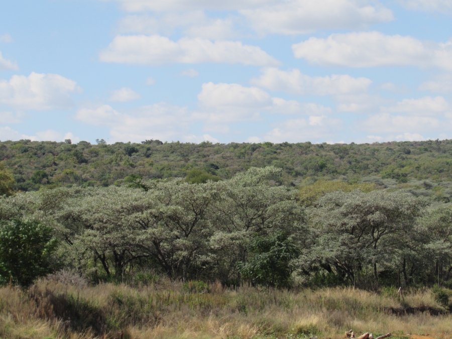 13 Bedroom Property for Sale in Boekenhoutskloof and surround Gauteng