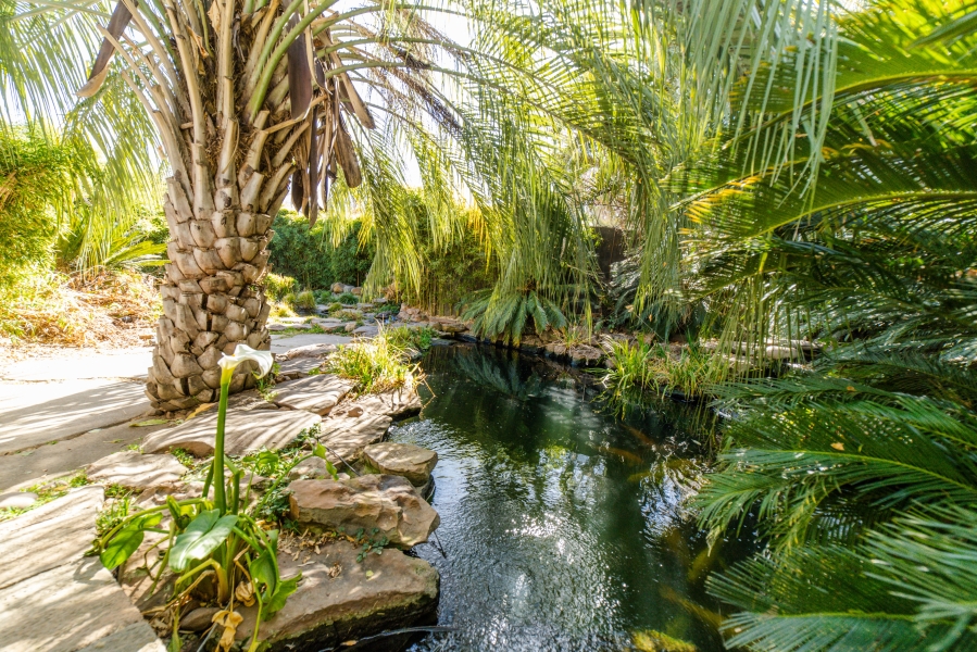 10 Bedroom Property for Sale in Chartwell Gauteng