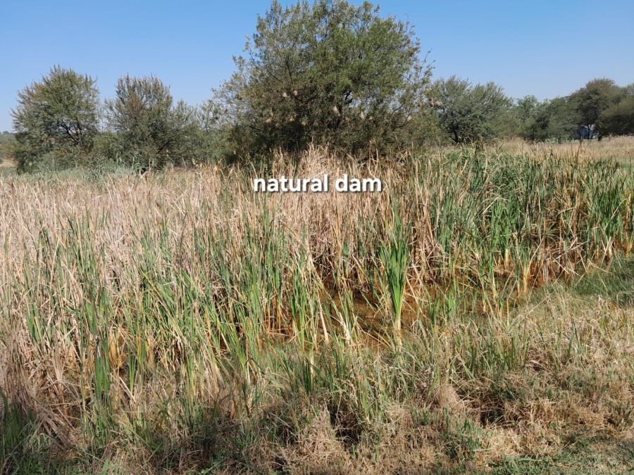 5 Bedroom Property for Sale in Roodeplaat Gauteng