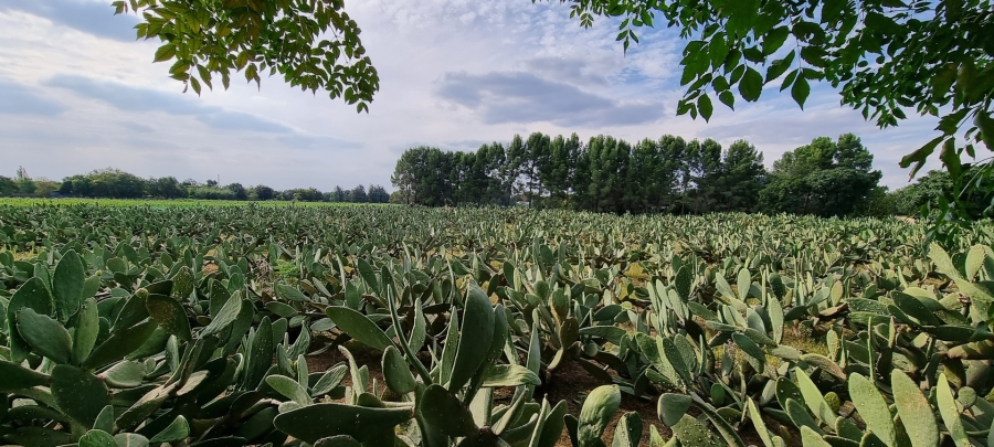 3 Bedroom Property for Sale in Mooilande Gauteng