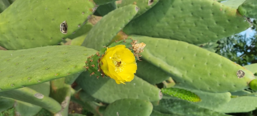 3 Bedroom Property for Sale in Mooilande Gauteng