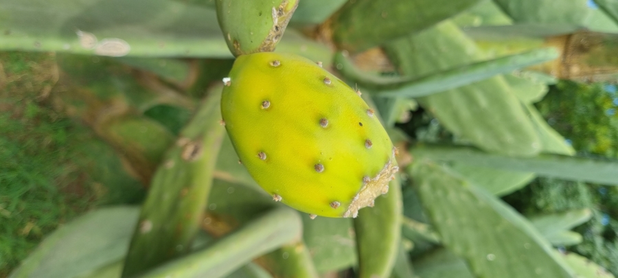 3 Bedroom Property for Sale in Mooilande Gauteng