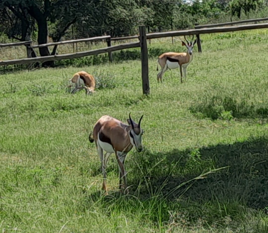 5 Bedroom Property for Sale in Kameeldrift East Gauteng