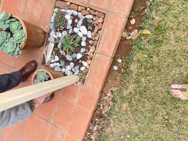 To Let 0 Bedroom Property for Rent in Brummeria Gauteng