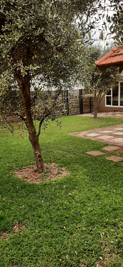To Let 3 Bedroom Property for Rent in Linden Gauteng