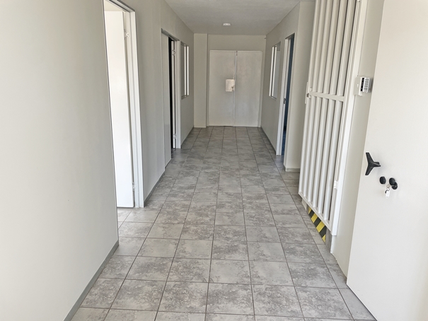 To Let commercial Property for Rent in Laser Park Gauteng