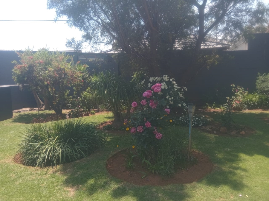 To Let 3 Bedroom Property for Rent in Selection Park Gauteng