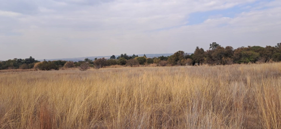 6 Bedroom Property for Sale in Vlakplaats Gauteng
