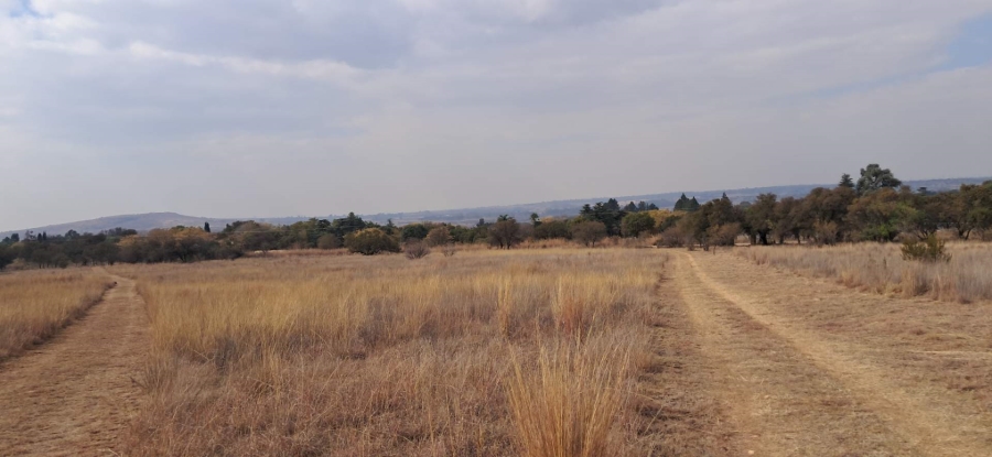 6 Bedroom Property for Sale in Vlakplaats Gauteng